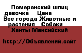 Померанский шпиц девочка  › Цена ­ 50 000 - Все города Животные и растения » Собаки   . Ханты-Мансийский